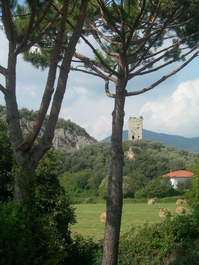 B&B La Rondine Tra Pisa E Lucca Сан-Джуліано-Терме Екстер'єр фото