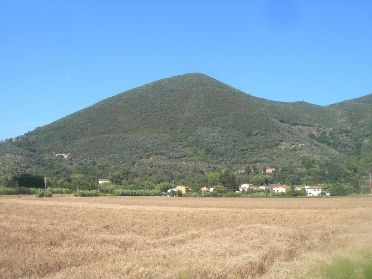 B&B La Rondine Tra Pisa E Lucca Сан-Джуліано-Терме Екстер'єр фото